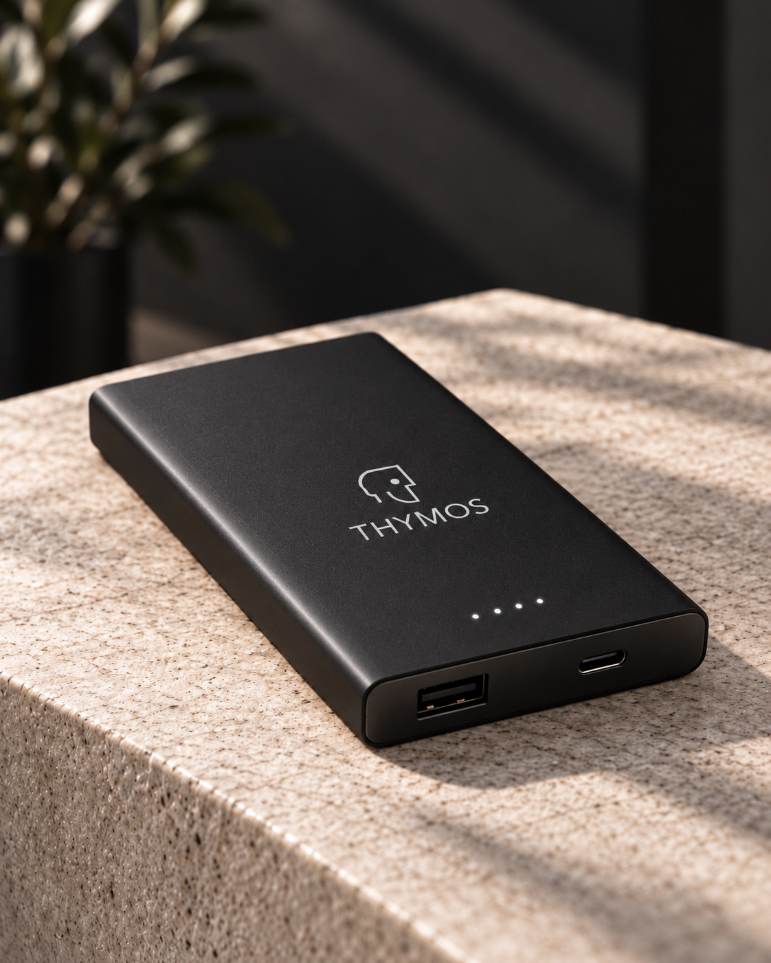 Thymos power bank